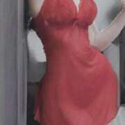 ヒメ日記 2025/12/19 15:19 投稿 ゆずりは SUZUME