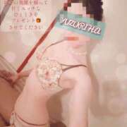 ヒメ日記 2025/12/20 14:29 投稿 ゆずりは SUZUME