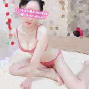 ヒメ日記 2025/12/22 21:19 投稿 ゆずりは SUZUME