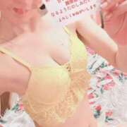 ヒメ日記 2025/12/27 11:59 投稿 ゆずりは SUZUME