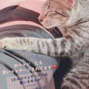 ヒメ日記 2025/12/31 12:19 投稿 ゆずりは SUZUME