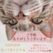 ヒメ日記 2026/01/05 14:39 投稿 ゆずりは SUZUME