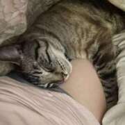 ヒメ日記 2026/01/10 03:19 投稿 ゆずりは SUZUME