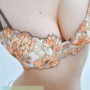 ヒメ日記 2026/01/10 12:49 投稿 ゆずりは SUZUME