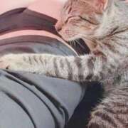 ヒメ日記 2026/01/31 02:49 投稿 ゆずりは SUZUME