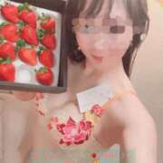 ヒメ日記 2026/02/08 23:49 投稿 ゆずりは SUZUME