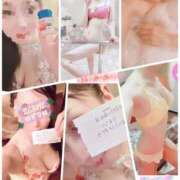 ヒメ日記 2026/02/12 16:29 投稿 ゆずりは SUZUME