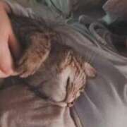 ヒメ日記 2026/03/07 03:09 投稿 ゆずりは SUZUME