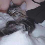 ヒメ日記 2026/03/17 02:59 投稿 ゆずりは SUZUME