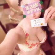 ヒメ日記 2026/03/23 17:49 投稿 ゆずりは SUZUME