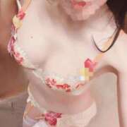 ヒメ日記 2026/03/26 16:09 投稿 ゆずりは SUZUME