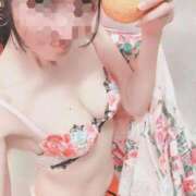 ヒメ日記 2026/03/27 19:19 投稿 ゆずりは SUZUME