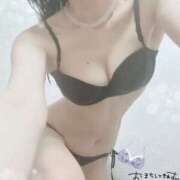 ヒメ日記 2026/04/02 18:49 投稿 ゆずりは SUZUME