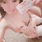 ヒメ日記 2026/04/03 16:14 投稿 ゆずりは SUZUME