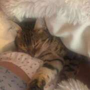 ヒメ日記 2026/04/14 02:29 投稿 ゆずりは SUZUME