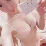 ヒメ日記 2026/04/17 14:29 投稿 ゆずりは SUZUME