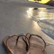 ヒメ日記 2026/04/19 23:10 投稿 ゆずりは SUZUME