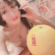 ヒメ日記 2026/05/23 18:09 投稿 ゆずりは SUZUME