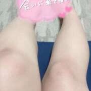 ヒメ日記 2025/03/31 14:21 投稿 ひなこ サンキュー沼津店（サンキューグループ）