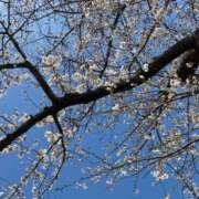 ヒメ日記 2025/03/31 22:16 投稿 愛支(えと)♥ふんわりオトナ美女 美魔女コレクション