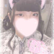 ヒメ日記 2025/03/24 19:12 投稿 なみ おっぱいパラダイス(姫路)