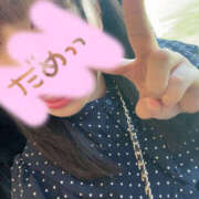 ヒメ日記 2025/07/07 15:00 投稿 ひまり ぽちゃカワ女子専門店宇都宮店