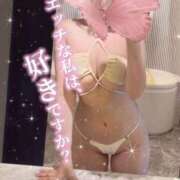 ヒメ日記 2025/04/19 10:48 投稿 れいな Gossip girl