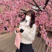 ヒメ日記 2025/03/22 12:28 投稿 ななみ 品川ハイブリッドマッサージ