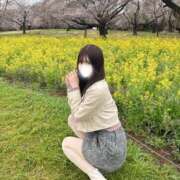 ヒメ日記 2025/04/07 16:28 投稿 ななみ 品川ハイブリッドマッサージ