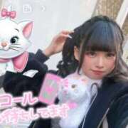 ヒメ日記 2025/03/30 11:08 投稿 うー ナメすぎサークル立川店