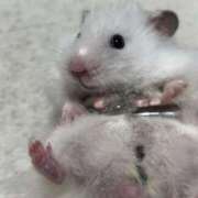 ヒメ日記 2025/04/04 21:48 投稿 うー ナメすぎサークル立川店