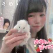 ヒメ日記 2025/04/06 10:21 投稿 うー ナメすぎサークル立川店