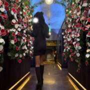 ヒメ日記 2025/04/16 12:18 投稿 大和せいな 色街SPA