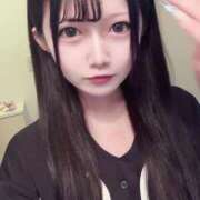 ゆる にゃほーん SEXIS-セクシーズ-