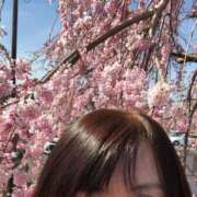 ヒメ日記 2025/03/31 19:41 投稿 片岡 サチ 熟女・人妻マダム宮殿