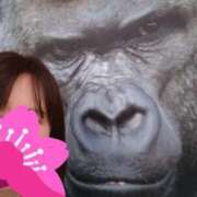 ヒメ日記 2025/04/01 09:37 投稿 片岡 サチ 熟女・人妻マダム宮殿