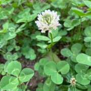 ヒメ日記 2025/05/23 09:37 投稿 片岡 サチ 熟女・人妻マダム宮殿