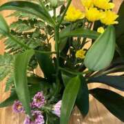 ヒメ日記 2025/09/26 08:49 投稿 片岡 サチ 熟女・人妻マダム宮殿