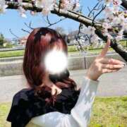 ヒメ日記 2026/04/03 14:48 投稿 如月かりな 四季～SIKI～