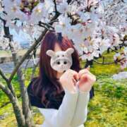 ヒメ日記 2026/04/04 13:48 投稿 如月かりな 四季～SIKI～