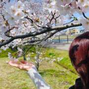 ヒメ日記 2026/04/05 14:18 投稿 如月かりな 四季～SIKI～