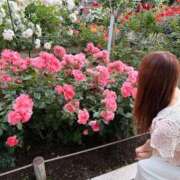 ヒメ日記 2026/07/09 07:48 投稿 如月かりな 四季～SIKI～