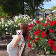 ヒメ日記 2026/07/13 06:18 投稿 如月かりな 四季～SIKI～