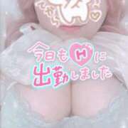 ヒメ日記 2025/06/08 15:10 投稿 せいな 大阪ぽっちゃりマニア 十三店