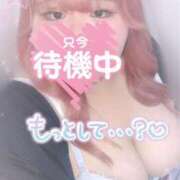 ヒメ日記 2025/06/11 15:29 投稿 せいな 大阪ぽっちゃりマニア 十三店