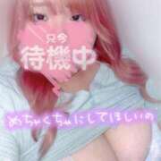 ヒメ日記 2025/06/12 14:06 投稿 せいな 大阪ぽっちゃりマニア 十三店