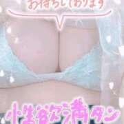 ヒメ日記 2025/06/13 12:11 投稿 せいな 大阪ぽっちゃりマニア 十三店