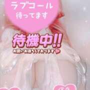 ヒメ日記 2025/06/13 13:16 投稿 せいな 大阪ぽっちゃりマニア 十三店