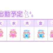 ヒメ日記 2025/06/23 00:56 投稿 せいな 大阪ぽっちゃりマニア 十三店