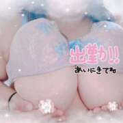 ヒメ日記 2025/06/23 10:32 投稿 せいな 大阪ぽっちゃりマニア 十三店